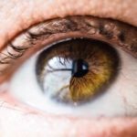 If you’re finally convinced to start searching for an eye doctor, here are some things to consider when searching for eye exams near me.
