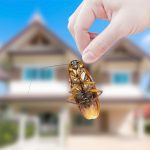 Do you suspect you've got pests but don't know if you need to call a pest control service or not? Here are five signs that you do.