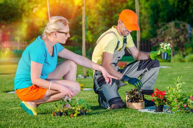 If you're on the garden fence about hiring a professional gardener, this guide will give you six reasons why you should employ one!