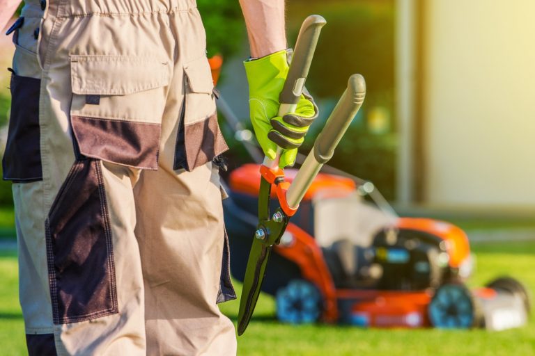 The Guide That Makes Choosing the Best Landscaping Company Simple