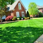 In order to have a beautiful lawn, there are several things you need to do. These six lawn care tips will make a huge difference.