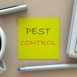 Did you know that not all pest control services are created equal these days? Here's how simple it is to choose the best pest control company in your area.