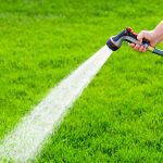 Are you looking for lawn care services in North Carolina? Then check out some of the best options in your area via this short breakdown.