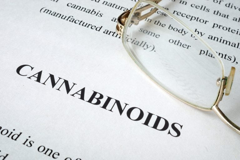 3 Different Types of Cannabinoids Worth Learning About