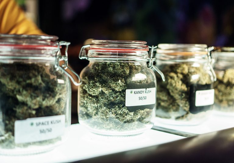How to Choose the Best Cannabis Strain for Your Needs