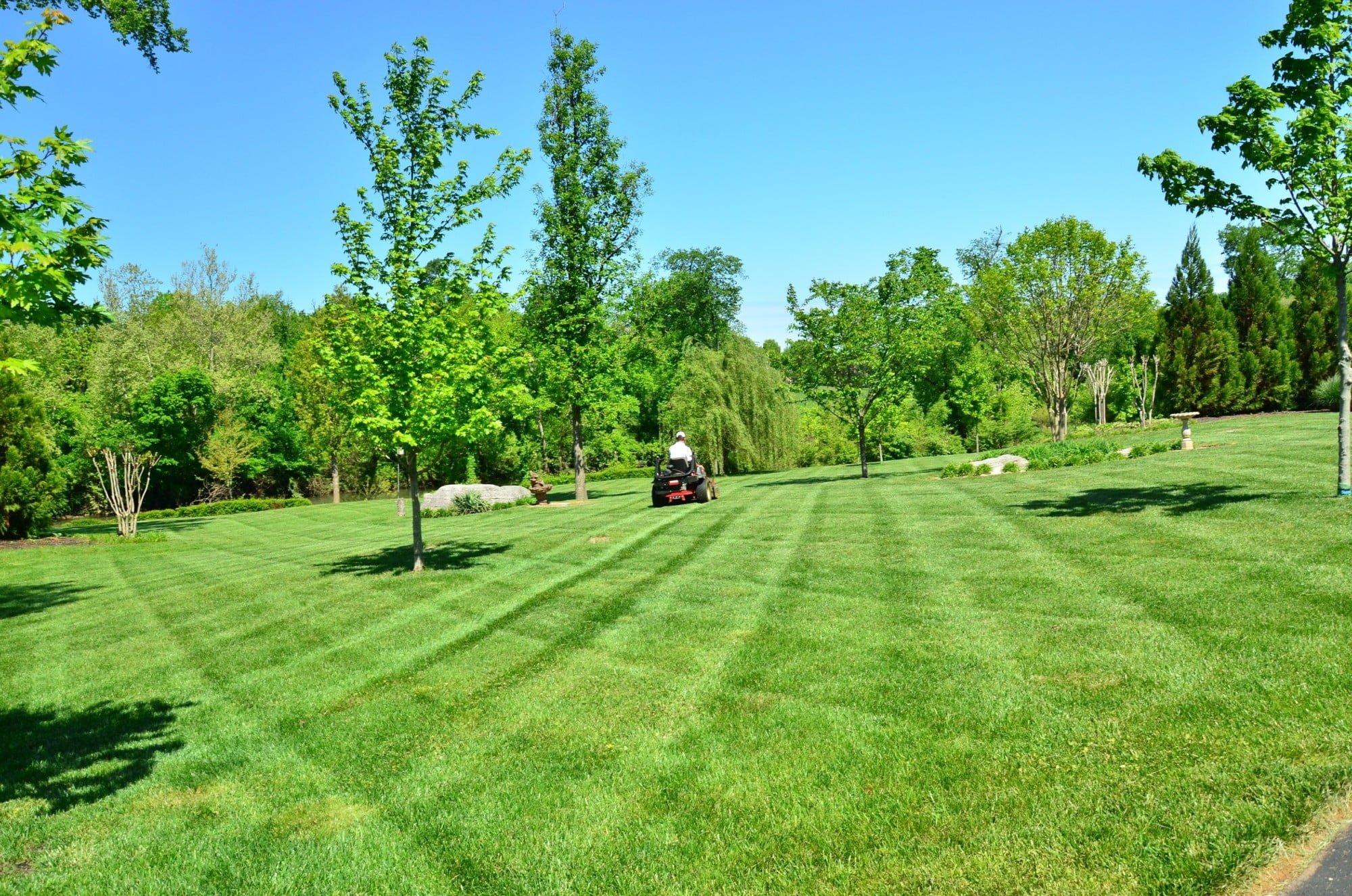 Do you need to hire the best local landscapers to take of your lawn? Here are a few questions that you should ask the best lawn care company when hiring them.