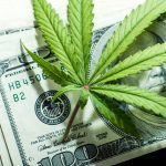 Investing in marijuana is a relatively new field and the industry is constantly experiencing new changes and regulatory elements. See how it works now!