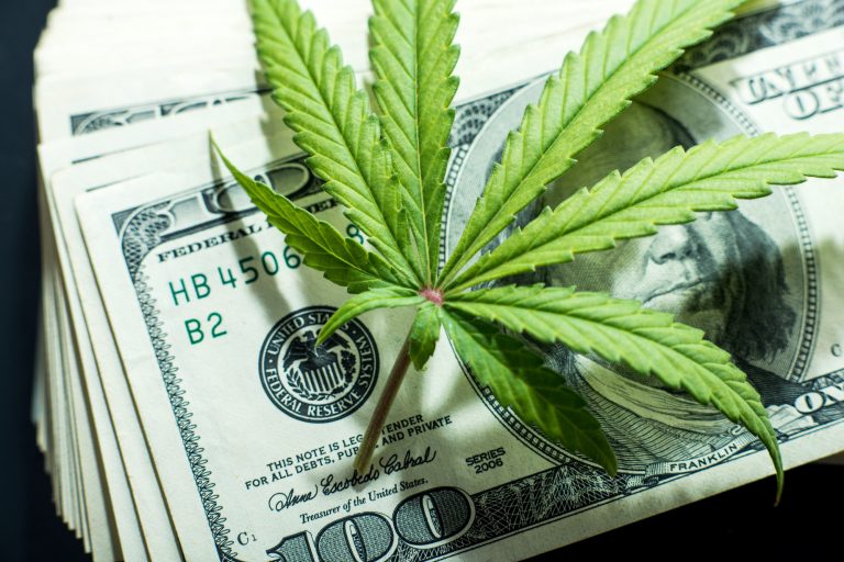 How Investing in Marijuana Works: An Introduction