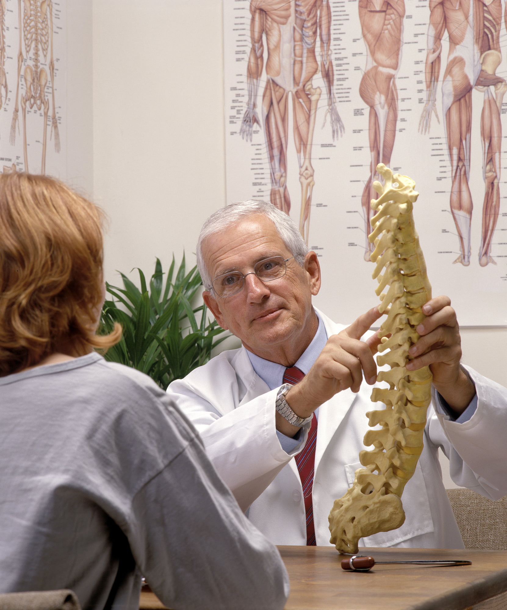 Thinking about receiving chiropractor services? Read this brief guide to learn about what they do and how they can benefit you.