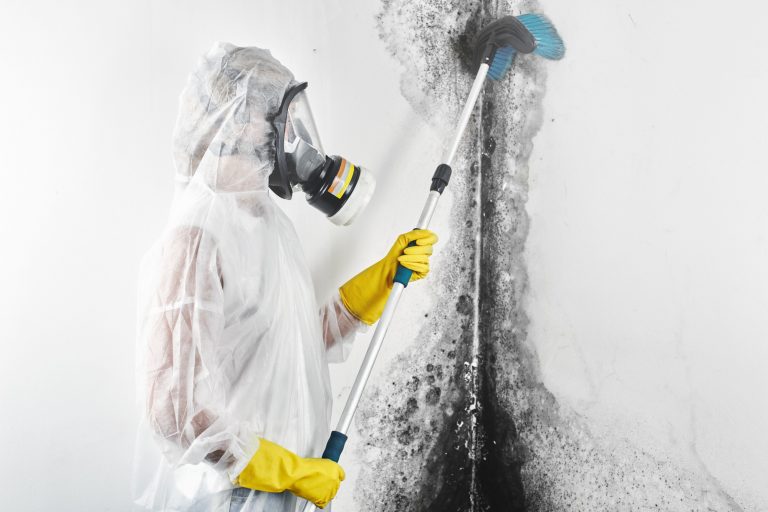A Guide to Mold Remediation Cost and Benefits
