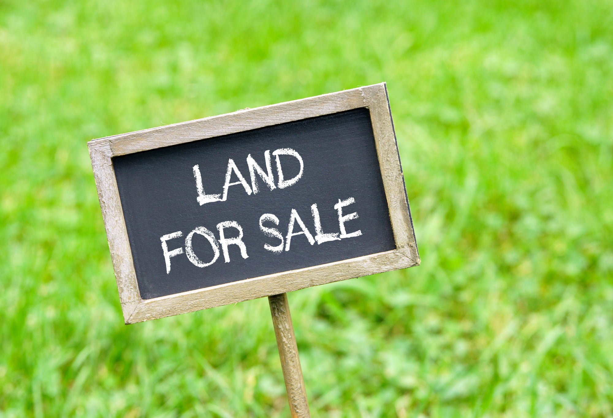 Keep reading if you're on the fence about purchasing a plot of vacant land. We're giving you a few benefits you can gain from this real estate investment.