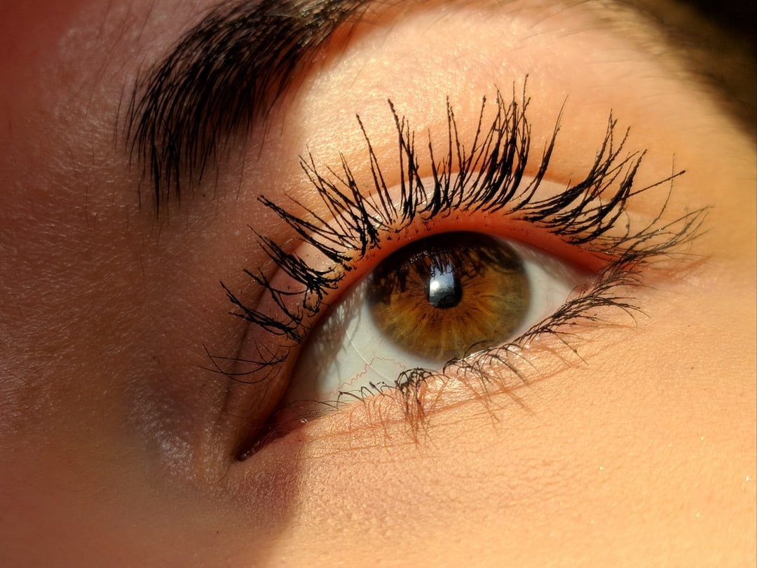 Taking care of your eyebrows and eyelashes is an incredibly important part of your eye health. Here's everything you need to know.
