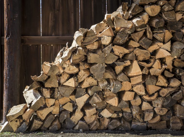 3 Dos and Don’ts of Storing Firewood
