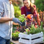 Are you interested in trying your hand at gardening but aren't sure where or how to begin? Here is a quick guide to gardening for beginners.