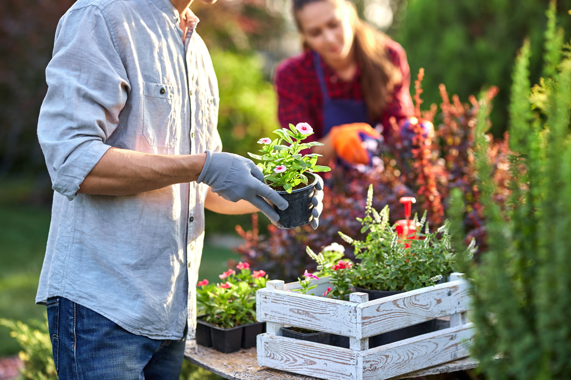 Are you interested in trying your hand at gardening but aren't sure where or how to begin? Here is a quick guide to gardening for beginners.