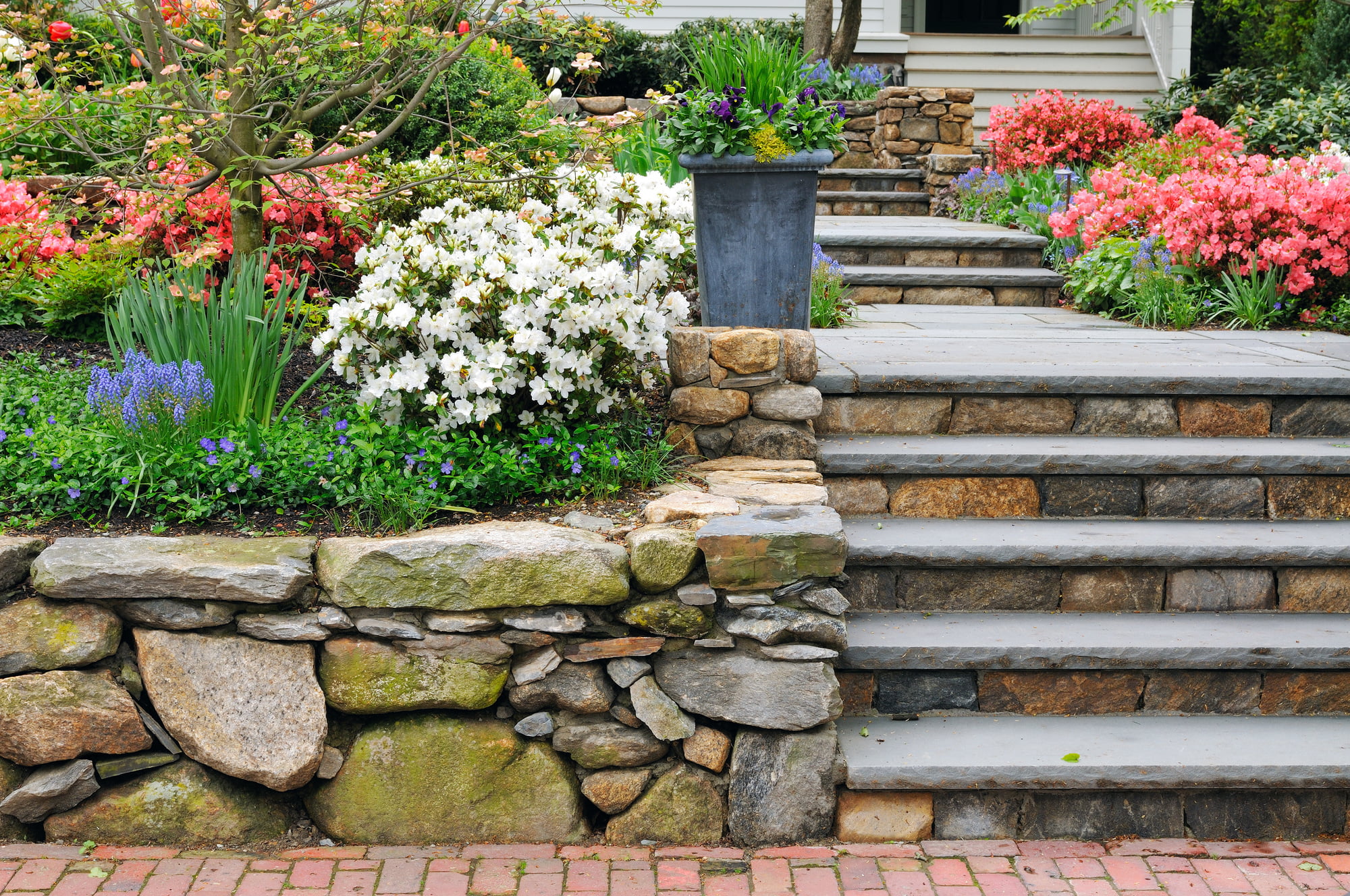 Do you want to build your dream backyard this year? Read this article to discover everything you need to know about hardscaping!