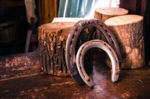 Horseshoe Game Sets: What To Look For When Shopping For Them