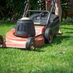 Why Lawn Care and Pest Control Are Important For Your Home