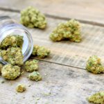 Finding the right cannabis for your needs requires knowing what can hinder your progress. Here are common cannabis buying mistakes and how to avoid them.