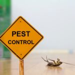 How To Prepare Your Home For A Pest Control Treatment