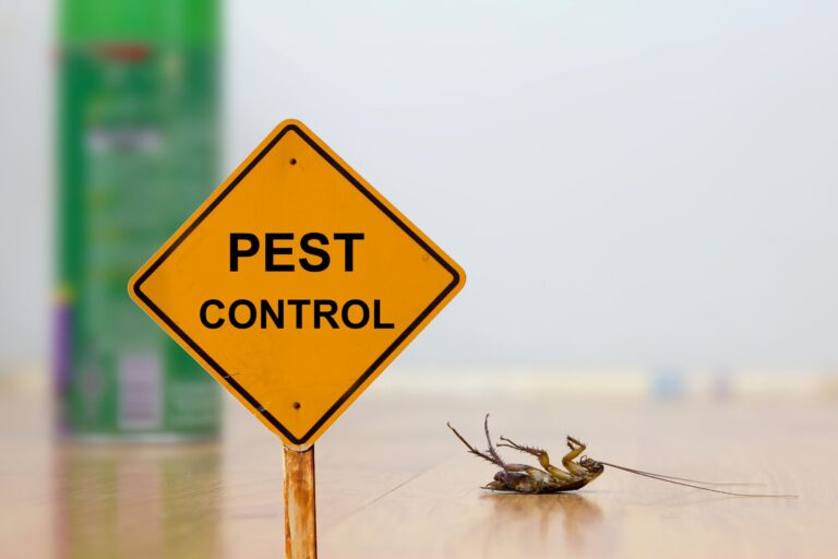 How To Prepare Your Home For A Pest Control Treatment
