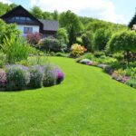 When it comes to boosting the curb appeal of your home with the professional landscaping company, explore important factors to consider.