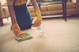 Your Brief Guide on the One-Hour Cleaning Method