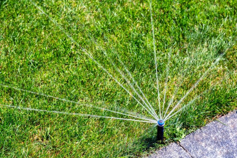 4 Parts of the Sprinkler System to Know as a Homeowner