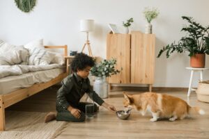 Health Concerns with Pets Surrounding Human Food